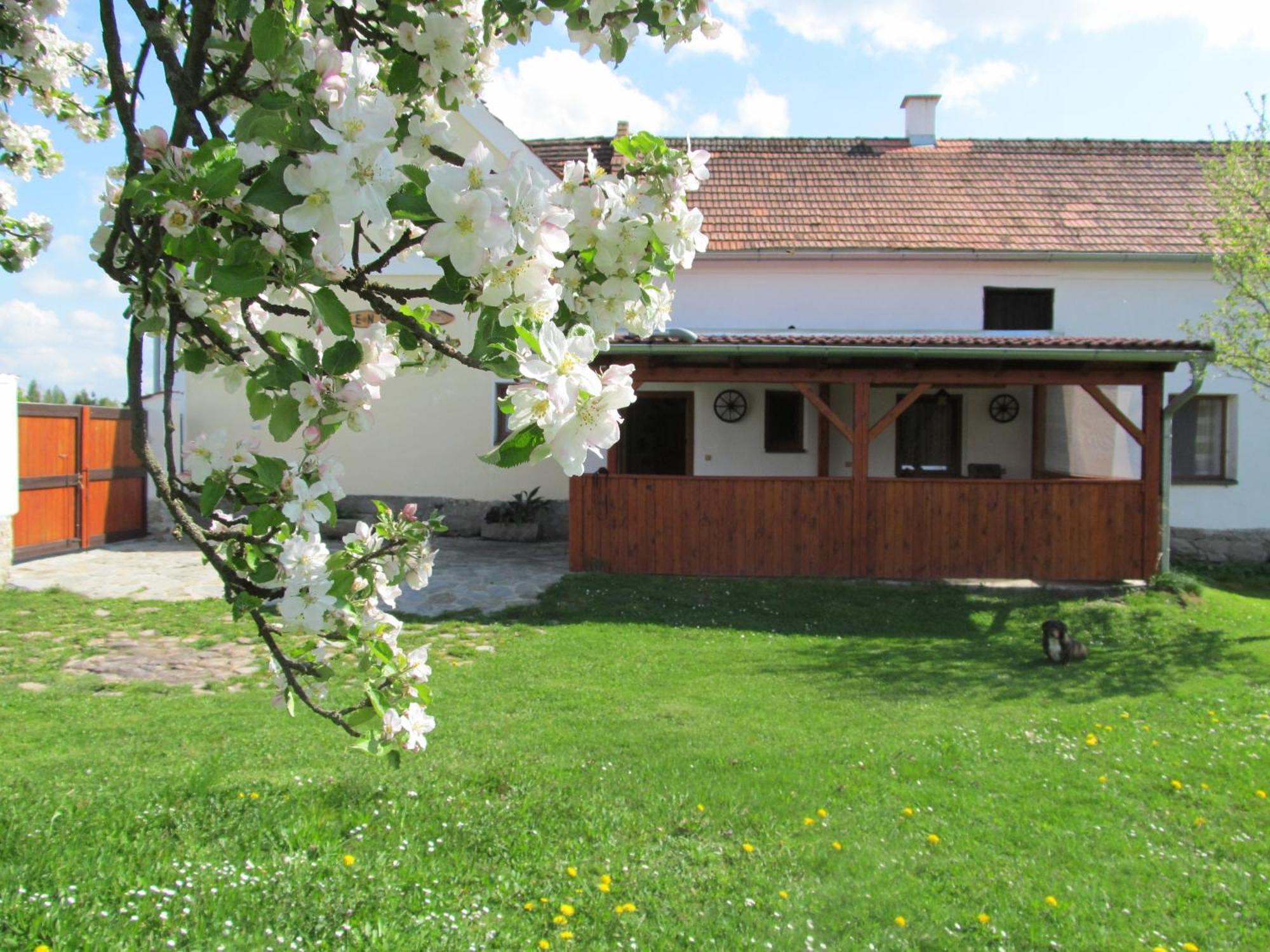 Pension Otevek Trhové Sviny Exterior foto